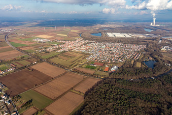 Lingenfeld in Westheim im Bundesland Rheinland-Pfalz, Deutschland