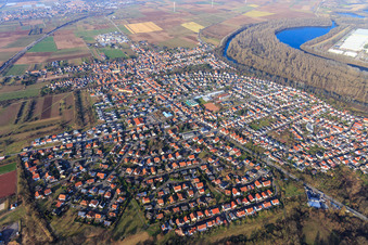 Luftbild von Ortsansicht im Winter aus Südwesten in Lingenfeld im Bundesland Rheinland-Pfalz, Deutschland