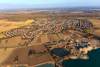 Ortsansicht in den Rheinauen im Winter aus Westen in Leimersheim im Bundesland Rheinland-Pfalz, Deutschland