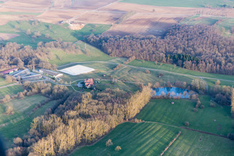 Am Froeschenberg, Haras Lerchenberg in Gundershoffen im Bundesland Bas-Rhin, Frankreich von oben gesehen