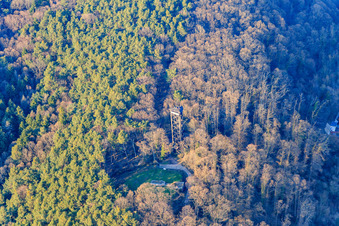 Luftaufnahme von Bismarckturm in Bad Bergzabern im Bundesland Rheinland-Pfalz, Deutschland