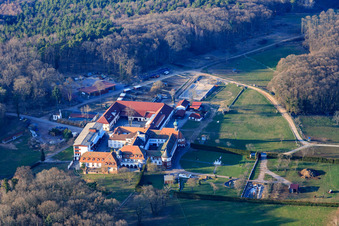 Pferdepension im Kloster Liebfrauenberg in Bad Bergzabern im Bundesland Rheinland-Pfalz, Deutschland