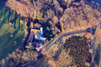 Schrägluftbild von Slevogthof Neukastel in Leinsweiler im Bundesland Rheinland-Pfalz, Deutschland