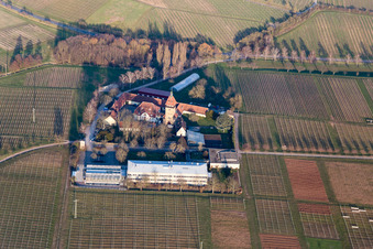 Siebeldingen, Geilweilerhof im Bundesland Rheinland-Pfalz, Deutschland