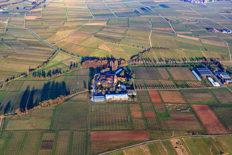 Geilweilerhof JKI Institut für Rebenzüchtung in Siebeldingen im Bundesland Rheinland-Pfalz, Deutschland