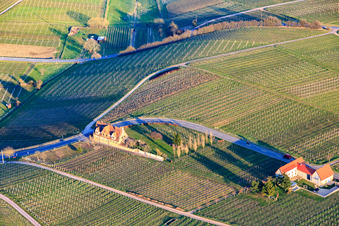 Zwei Häüser ausserorts an der Trifelsstr in Frankweiler im Bundesland Rheinland-Pfalz, Deutschland