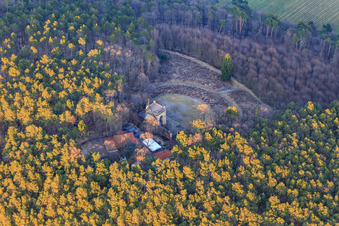 Sieges- und Friedensdenkmal im Winter in Edenkoben im Bundesland Rheinland-Pfalz, Deutschland