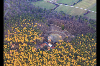 Luftbild von Sieges- und Friedensdenkmal im Winter in Edenkoben im Bundesland Rheinland-Pfalz, Deutschland