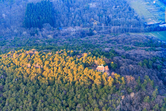 Luftbild von Mariä Schutzkapelle auf dem Wetterkreuzberg in Maikammer im Bundesland Rheinland-Pfalz, Deutschland