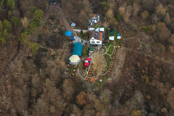 Luftbild von Zeter Berghaus im Winter im Ortsteil Diedesfeld in Neustadt an der Weinstraße im Bundesland Rheinland-Pfalz, Deutschland