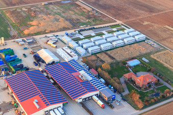 Gemüseanbau - Dieter Stubenbordt in Zeiskam im Bundesland Rheinland-Pfalz, Deutschland von oben