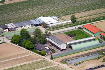 Luftbild von Uwe Nauerth - Tabak Produktion in Kandel im Bundesland Rheinland-Pfalz, Deutschland