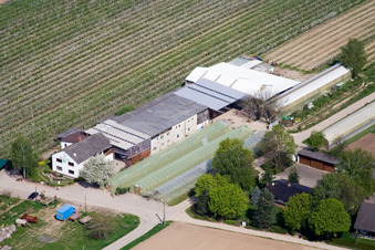 Obst-und Gemüsehof Zapf in Kandel im Bundesland Rheinland-Pfalz, Deutschland