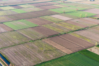 Luftbild von California im Bundesland Friaul-Julisch Venetien, Italien
