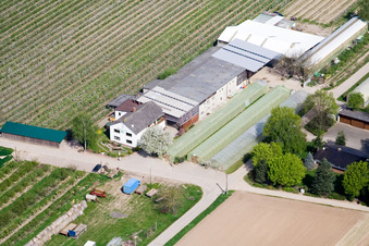 Gehöft eines Obst- und Spargelhofes Zapf Hofmarkt in Kandel im Bundesland Rheinland-Pfalz, Deutschland