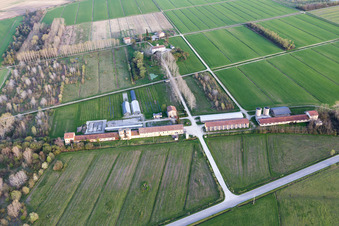 Schrägluftbild von Palazzolo dello Stella im Bundesland Friaul-Julisch Venetien, Italien