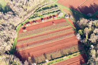 Cepljani im Bundesland Gespanschaft Istrien, Kroatien