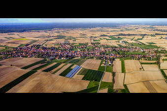 Dorfpanorama aus Westen am Abend in Seebach im Bundesland Bas-Rhin, Frankreich