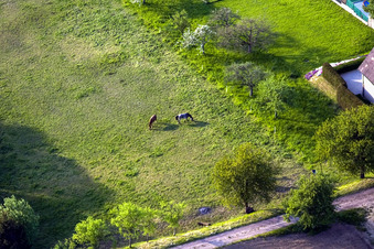 Schrägluftbild von Schœnenbourg im Bundesland Bas-Rhin, Frankreich
