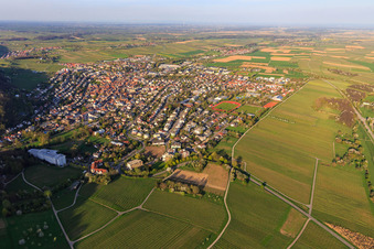Stadtansicht im Frühling aus Westen in Bad Bergzabern im Bundesland Rheinland-Pfalz, Deutschland