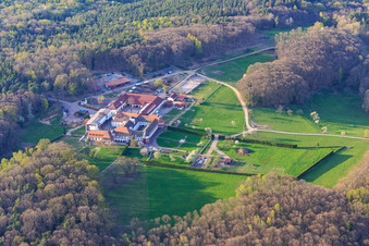 Pferdepension im Kloster Liebfrauenberg im Frühjahr in Bad Bergzabern im Bundesland Rheinland-Pfalz, Deutschland