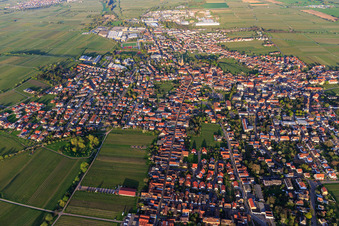 Stadtansicht im Frühling aus Westen in Edenkoben im Bundesland Rheinland-Pfalz, Deutschland