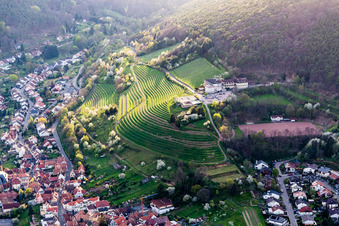 St, Martin, Schloss Kropsburg im Ortsteil SaintMartin in Sankt Martin im Bundesland Rheinland-Pfalz, Deutschland