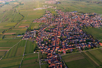 Stadtübersicht im Frühling aus Westen in Maikammer im Bundesland Rheinland-Pfalz, Deutschland
