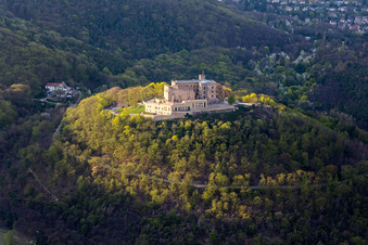 Oberhambach, Hambacher Schloss im Ortsteil Diedesfeld in Neustadt an der Weinstraße im Bundesland Rheinland-Pfalz, Deutschland aus der Luft