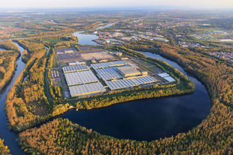 Insel Grün im Lingenfelder Altrhein mit Mercedes-Benz Global Logistics Center und MOSOLF Logistics & Services GmbH in Germersheim im Bundesland Rheinland-Pfalz, Deutschland