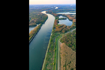 Rheinniederung Karlsruhe – Rheinsheim in Linkenheim-Hochstetten im Bundesland Baden-Württemberg, Deutschland