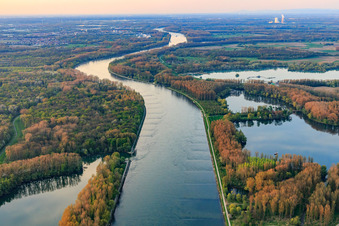 Rhein von Süden mit Insel Rott am Rhein in Linkenheim-Hochstetten im Bundesland Baden-Württemberg, Deutschland