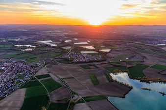 Sonnenuntergang in der Rheinebene im Ortsteil Hardtwald in Neupotz im Bundesland Rheinland-Pfalz, Deutschland