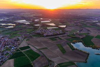 Luftbild von Sonnenuntergang in der Rheinebene im Ortsteil Hardtwald in Neupotz im Bundesland Rheinland-Pfalz, Deutschland