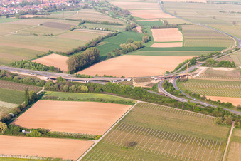 Ortsteil Dammheim in Landau in der Pfalz im Bundesland Rheinland-Pfalz, Deutschland von oben