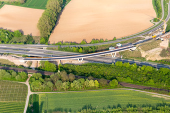 Ortsteil Dammheim in Landau in der Pfalz im Bundesland Rheinland-Pfalz, Deutschland aus der Luft