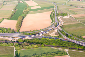 Ortsteil Dammheim in Landau in der Pfalz im Bundesland Rheinland-Pfalz, Deutschland vom Flugzeug aus