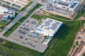 Decathlon in Neustadt an der Weinstraße im Bundesland Rheinland-Pfalz, Deutschland