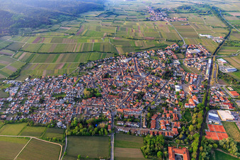 Ortsansicht im Frühjahr aus Süden in Deidesheim im Bundesland Rheinland-Pfalz, Deutschland