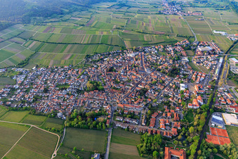 Luftbild von Ortsansicht im Frühjahr aus Süden in Deidesheim im Bundesland Rheinland-Pfalz, Deutschland