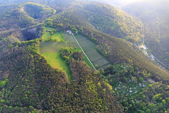 Schrägluftbild von Weingut Odinstal in einer Lichtung auf den Höhen des Pfälzerwalds in Wachenheim an der Weinstraße im Bundesland Rheinland-Pfalz, Deutschland