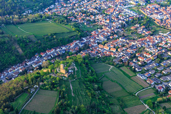 Stadtansicht aus Südosten mit Wachtenburg (Ruine Burg Wachenheim) umgeben von Rebzeilen in Wachenheim an der Weinstraße im Bundesland Rheinland-Pfalz, Deutschland