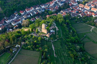 Ehemalige Burganlage Wachtenburg (Ruine "Burg Wachenheim") in Wachenheim an der Weinstraße im Bundesland Rheinland-Pfalz, Deutschland