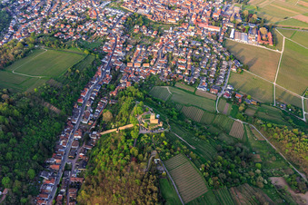 Schrägluftbild von Stadtansicht aus Südosten mit Wachtenburg (Ruine Burg Wachenheim) umgeben von Rebzeilen in Wachenheim an der Weinstraße im Bundesland Rheinland-Pfalz, Deutschland