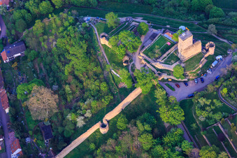 Luftbild von Wehrmauer zur Wachtenburg (Ruine "Burg Wachenheim") in Wachenheim an der Weinstraße im Bundesland Rheinland-Pfalz, Deutschland