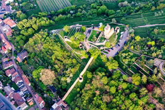 Luftbild von Ehemalige Burganlage Wachtenburg (Ruine "Burg Wachenheim") in Wachenheim an der Weinstraße im Bundesland Rheinland-Pfalz, Deutschland