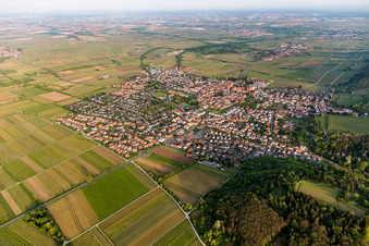 Luftbild von Ortsansicht am Rande von landwirtschaftlichen Feldern und Nutzflächen in Wachenheim an der Weinstraße im Bundesland Rheinland-Pfalz, Deutschland