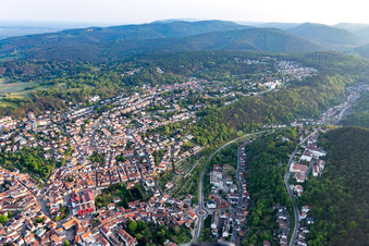 Vier Jahreseiten Winzer im Ortsteil Seebach in Bad Dürkheim im Bundesland Rheinland-Pfalz, Deutschland