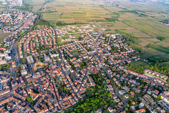 Fronhofallee in Bad Dürkheim im Bundesland Rheinland-Pfalz, Deutschland
