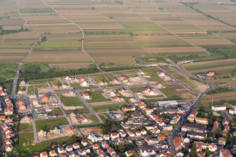 Fronhofallee S in Bad Dürkheim im Bundesland Rheinland-Pfalz, Deutschland